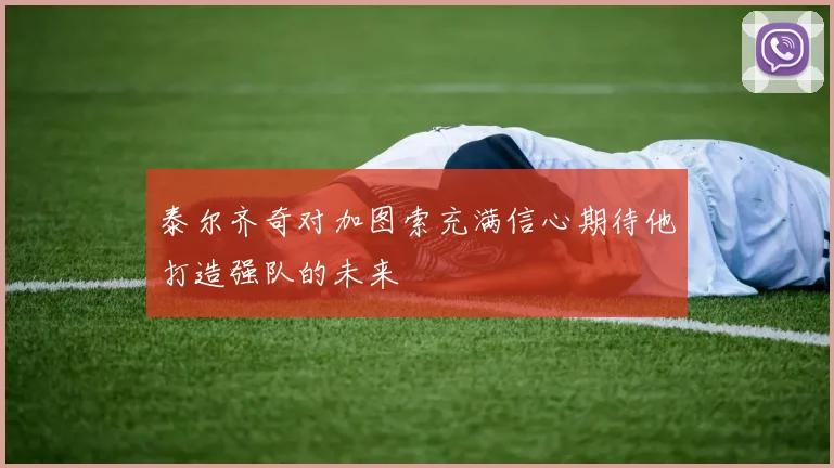 泰尔齐奇对加图索充满信心期待他打造强队的未来